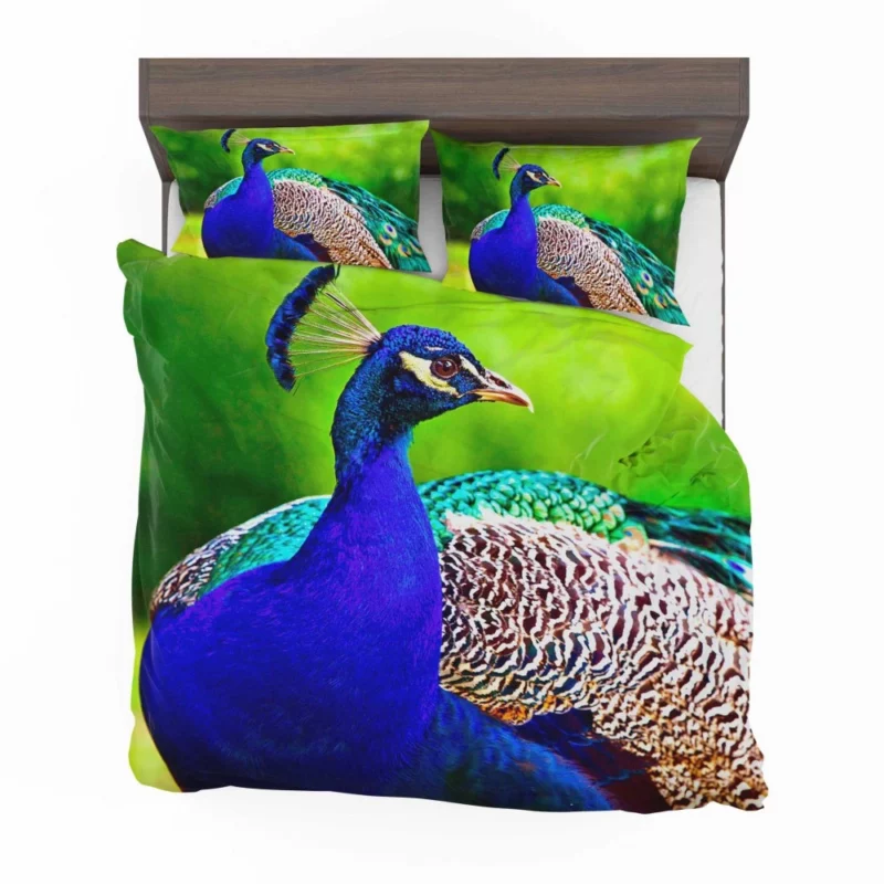 Peacock Exotic Vibrant Beauty Bedding Set 1