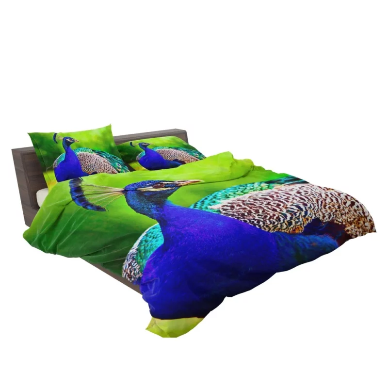 Peacock Exotic Vibrant Beauty Bedding Set 2