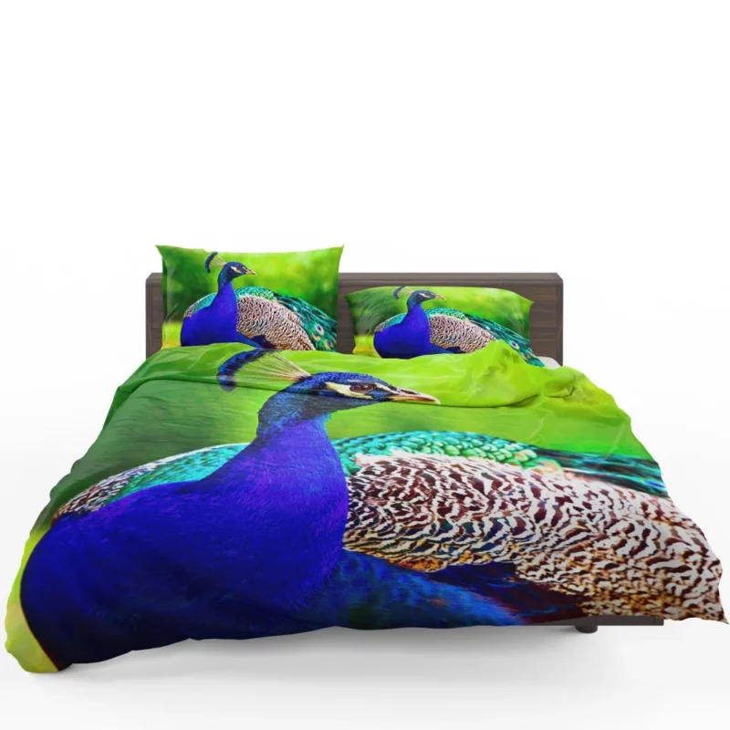 Peacock Exotic Vibrant Beauty Bedding Set