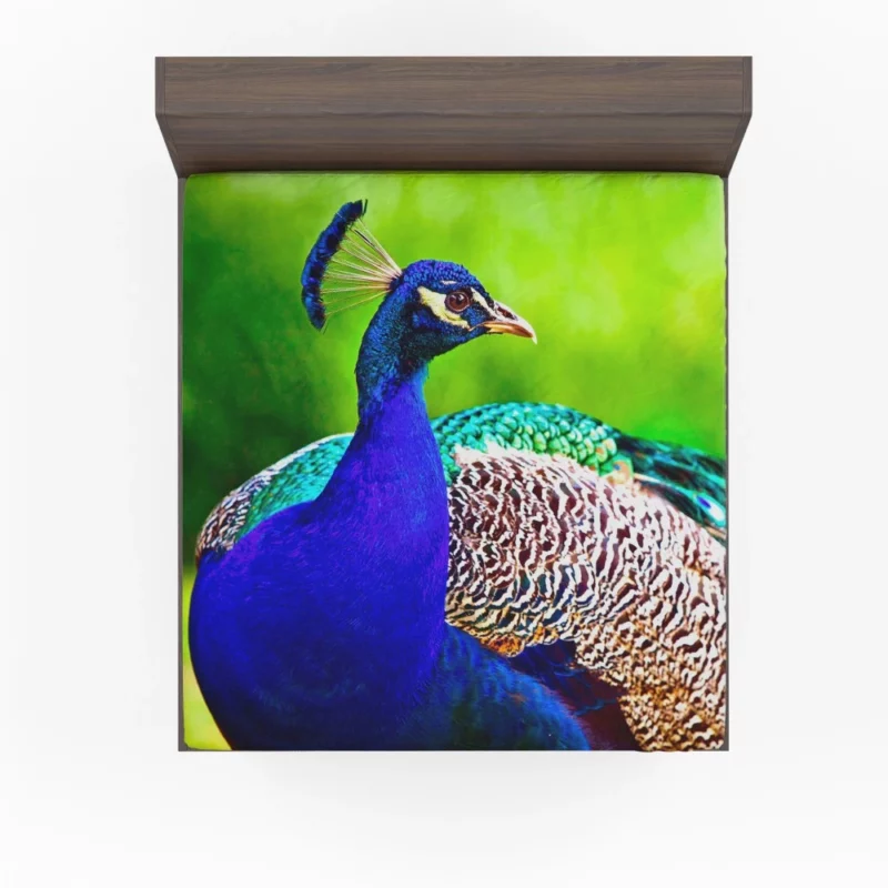 Peacock Exotic Vibrant Beauty Fitted Sheet 1