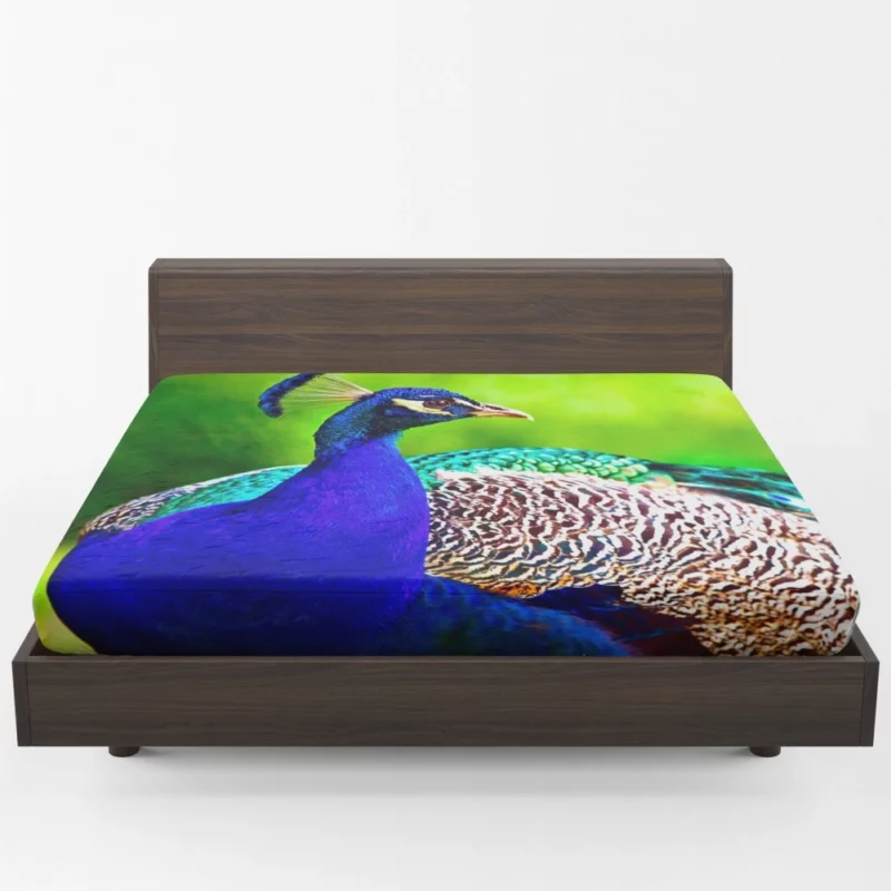 Peacock Exotic Vibrant Beauty Fitted Sheet