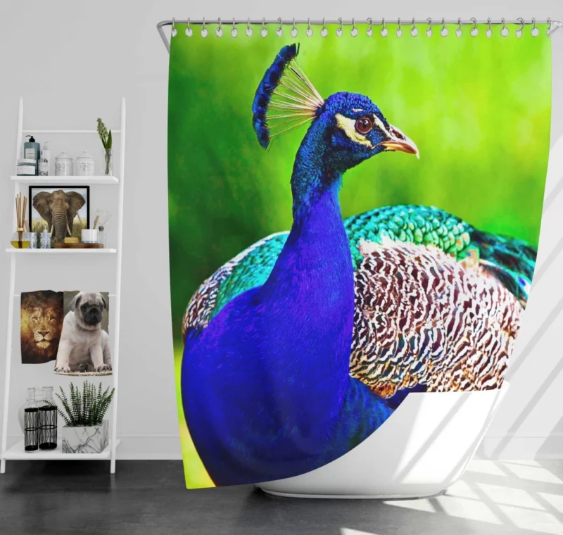 Peacock Exotic Vibrant Beauty Shower Curtain