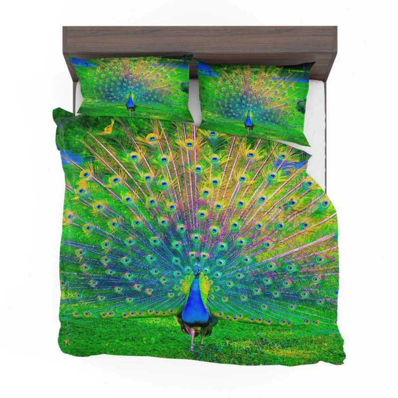 Peacock Exquisite Display Nature Elegance Bedding Set 1