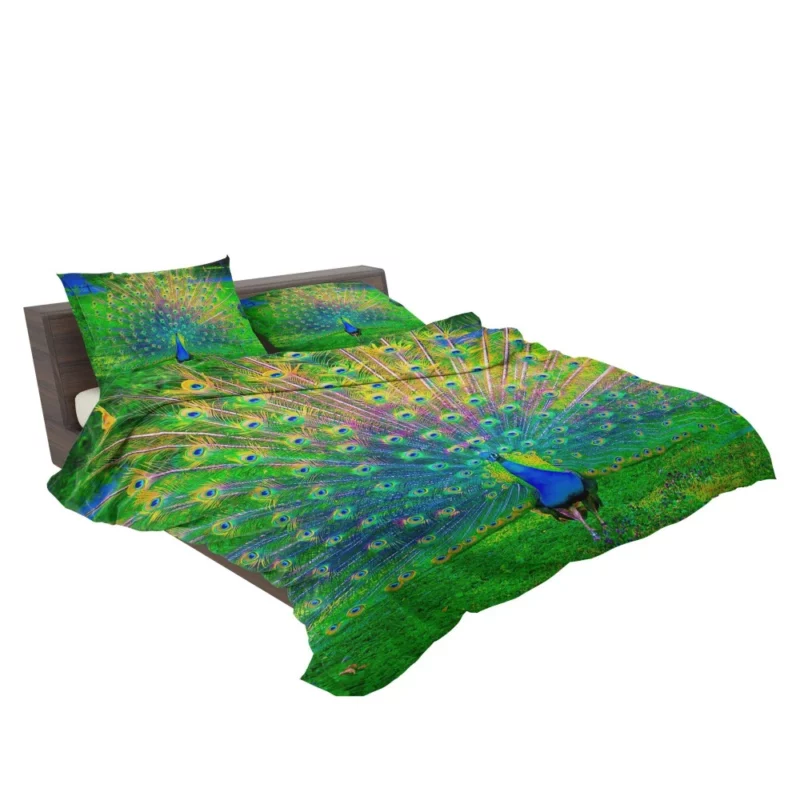 Peacock Exquisite Display Nature Elegance Bedding Set 2