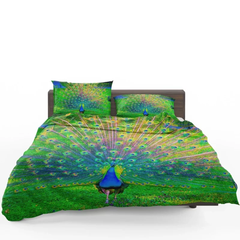 Peacock Exquisite Display Nature Elegance Bedding Set