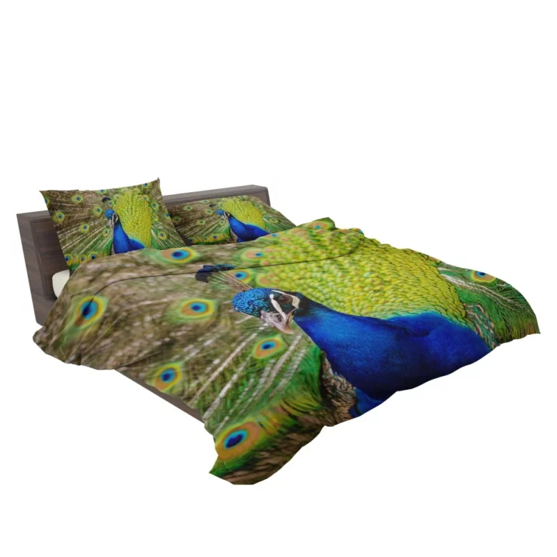 Peacock Feathered Beauty Regal Elegance Bedding Set 2