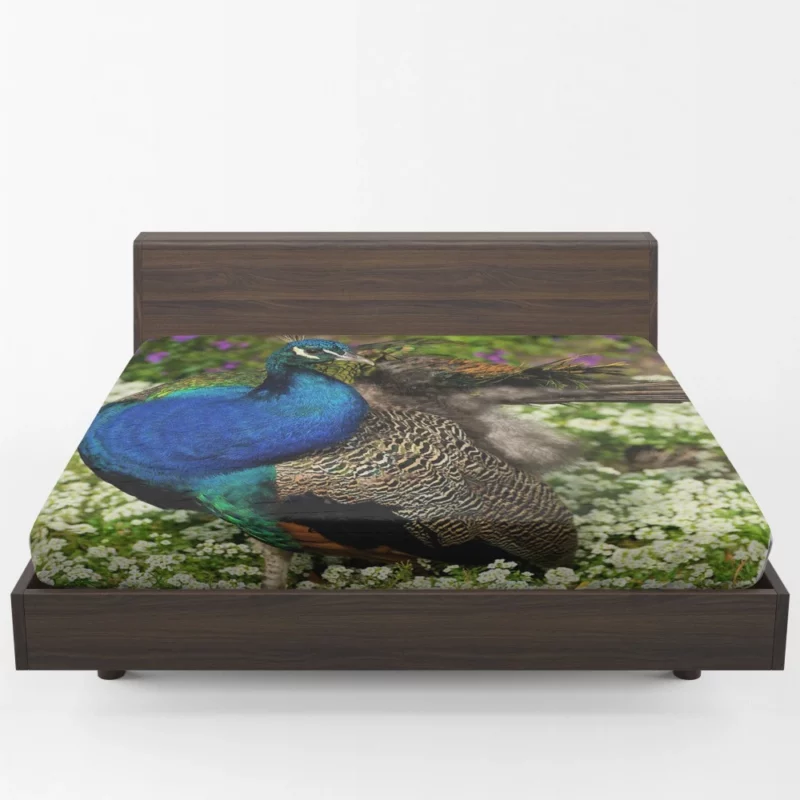 Peacock Floral Elegance Colorful Grace Fitted Sheet