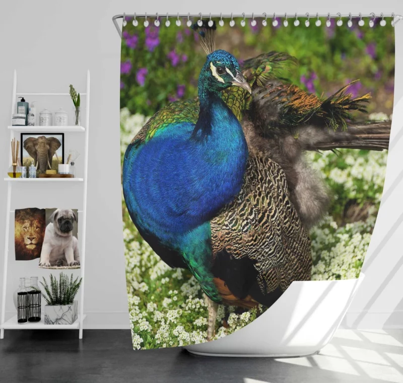 Peacock Floral Elegance Colorful Grace Shower Curtain