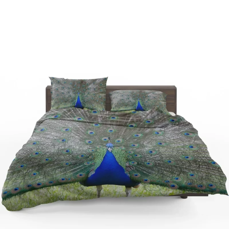 Peacock Radiant Plumage Avian Beauty Bedding Set