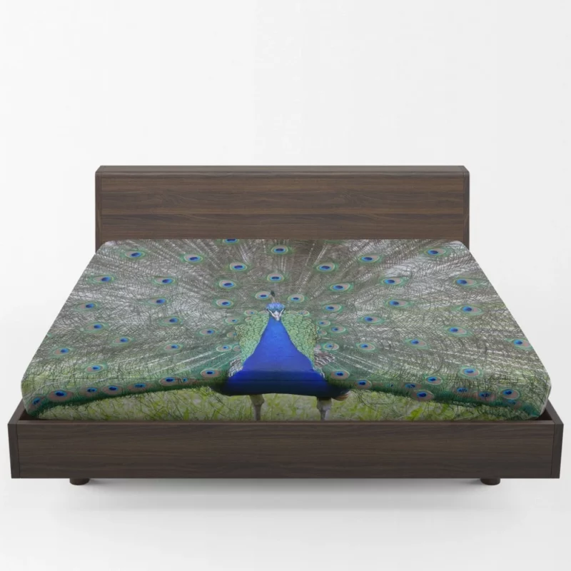 Peacock Radiant Plumage Avian Beauty Fitted Sheet