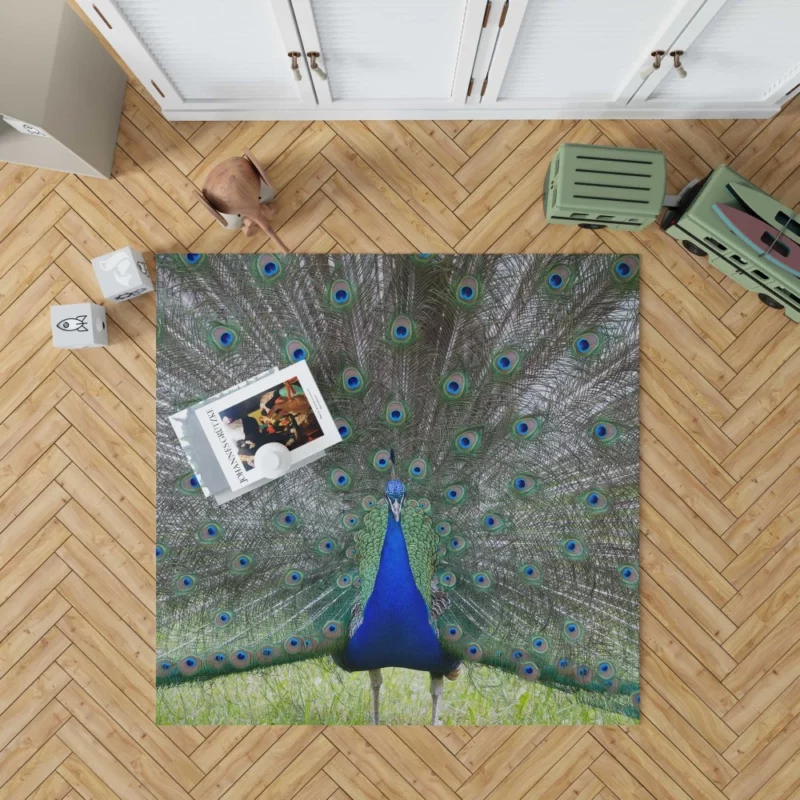 Peacock Radiant Plumage Avian Beauty Rug