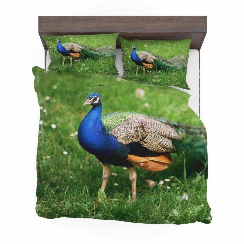 Peacock Splendor Nature Jewel Bedding Set 1