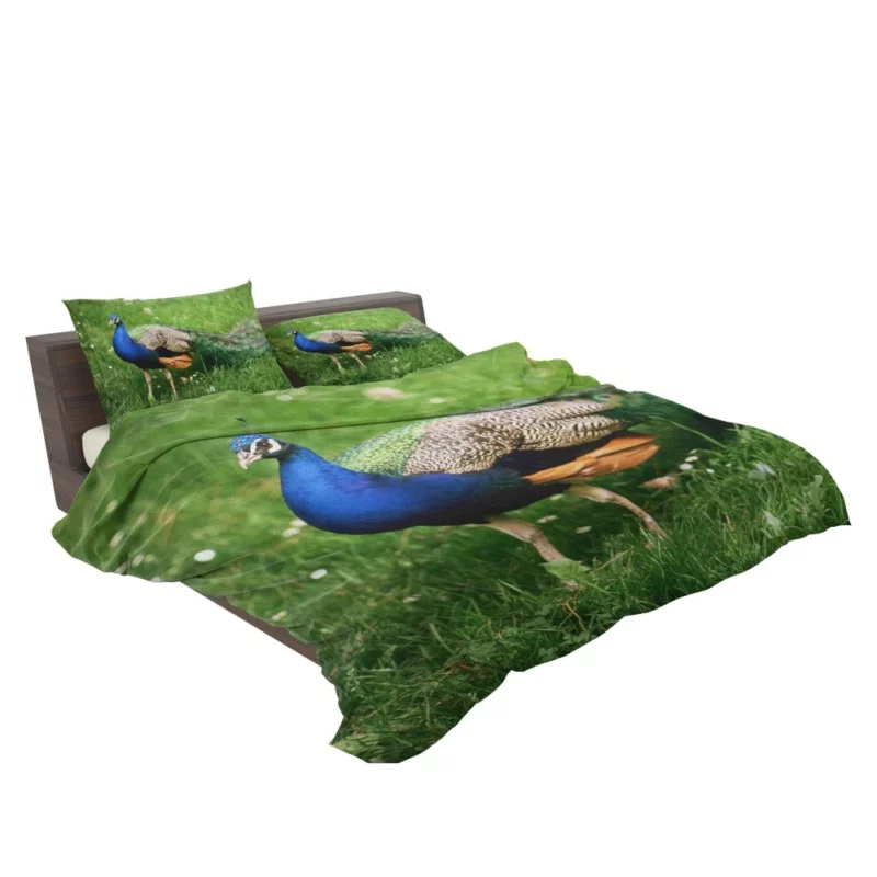 Peacock Splendor Nature Jewel Bedding Set 2