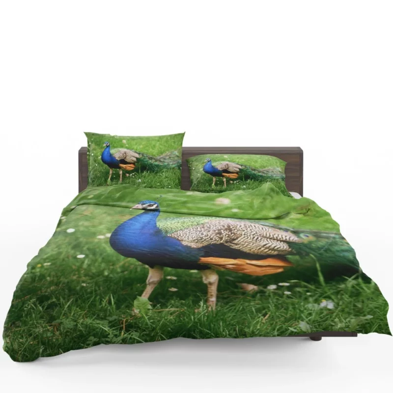 Peacock Splendor Nature Jewel Bedding Set