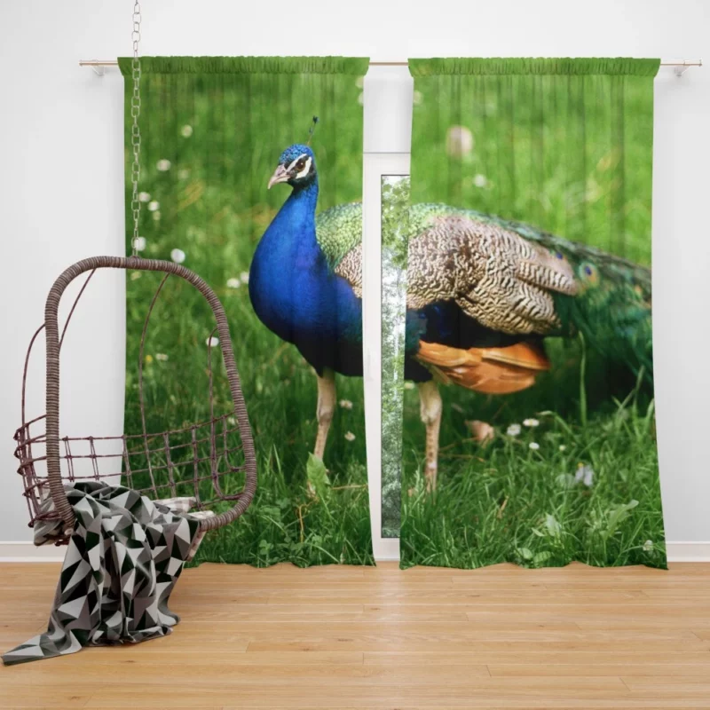 Peacock Splendor Nature Jewel Curtain