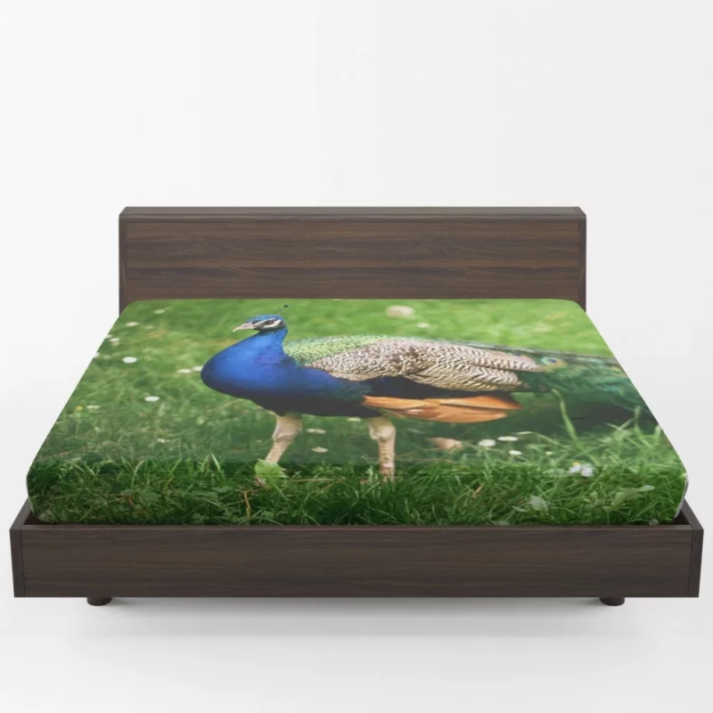 Peacock Splendor Nature Jewel Fitted Sheet