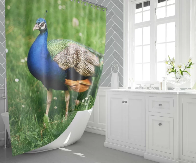 Peacock Splendor Nature Jewel Shower Curtain 1