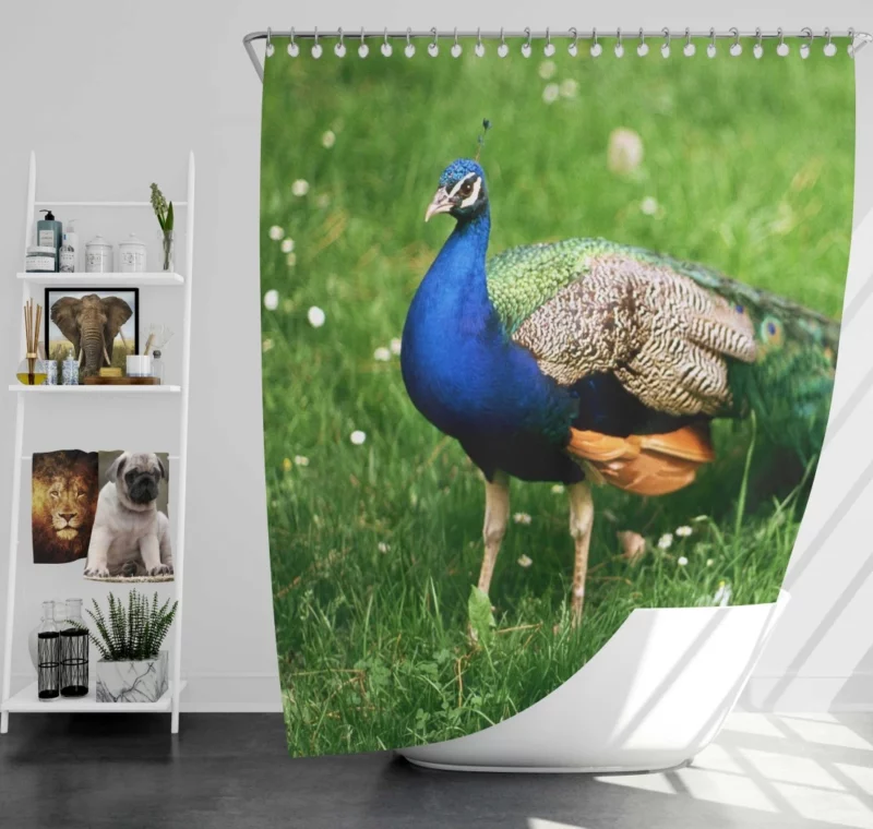 Peacock Splendor Nature Jewel Shower Curtain