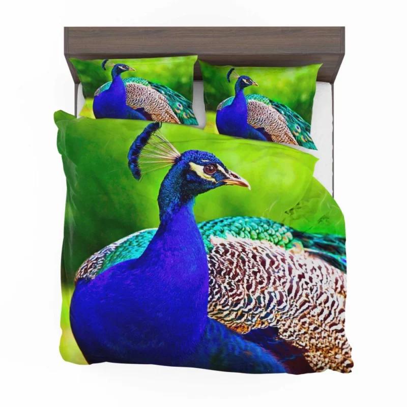 Peacock Stunning Plumage Majestic Bird Bedding Set 1