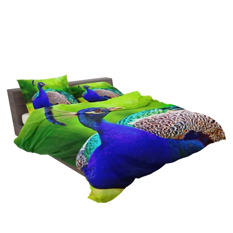 Peacock Stunning Plumage Majestic Bird Bedding Set 2