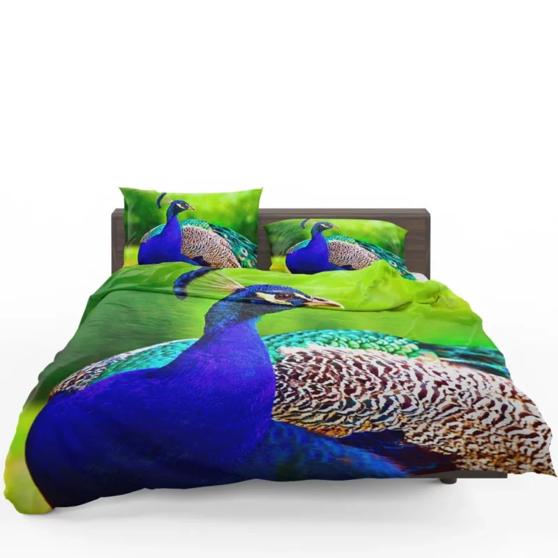 Peacock Stunning Plumage Majestic Bird Bedding Set