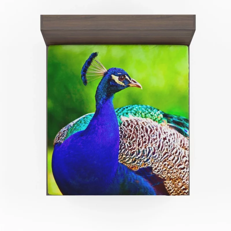 Peacock Stunning Plumage Majestic Bird Fitted Sheet 1