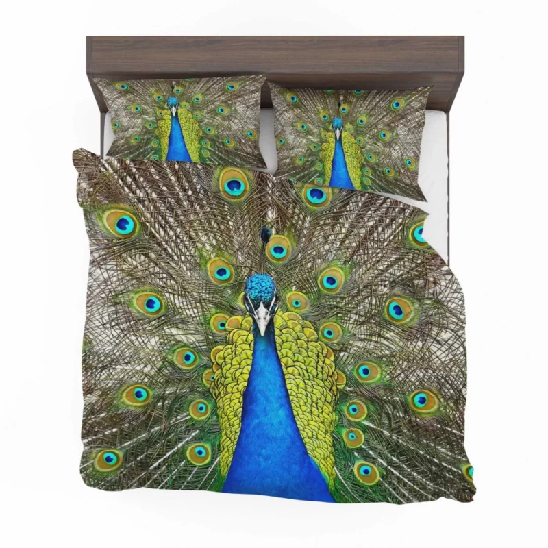 Peacock Vibrant Feathers Nature Splendor Bedding Set 1