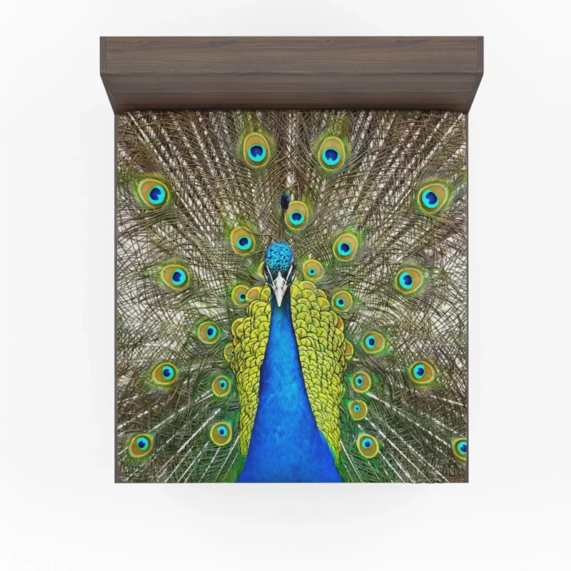 Peacock Vibrant Feathers Nature Splendor Fitted Sheet 1