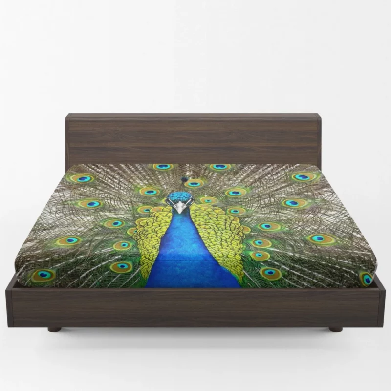 Peacock Vibrant Feathers Nature Splendor Fitted Sheet