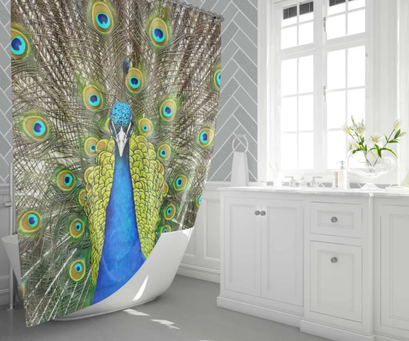 Peacock Vibrant Feathers Nature Splendor Shower Curtain 1