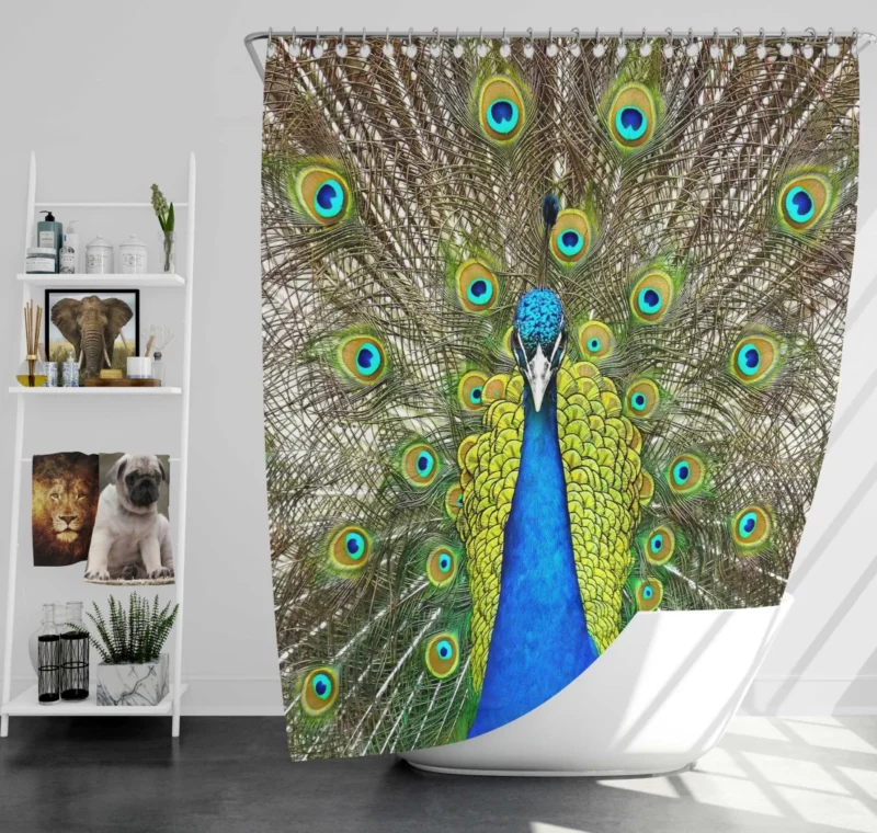 Peacock Vibrant Feathers Nature Splendor Shower Curtain