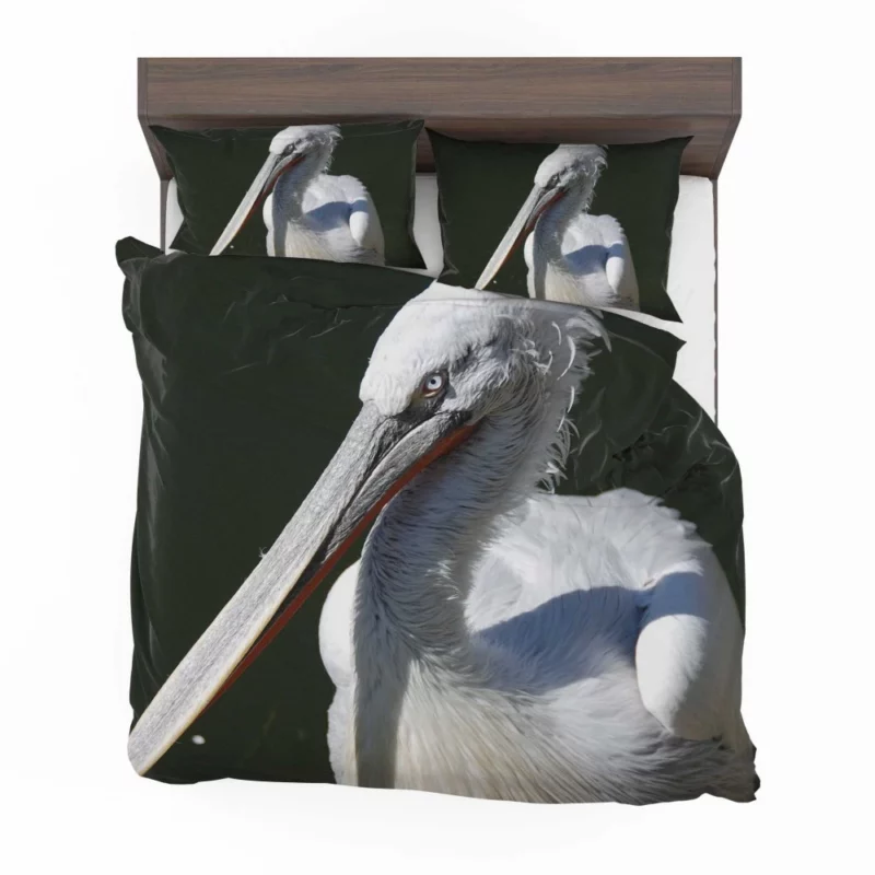 Pelican Coastal Presence Aquatic Beauty Bedding Set 1