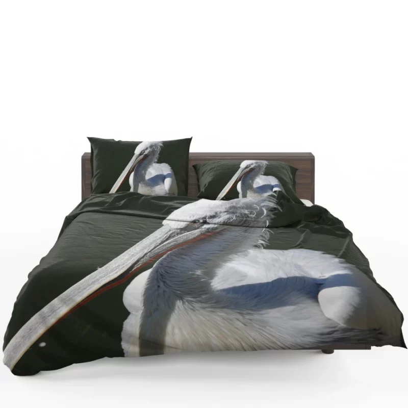 Pelican Coastal Presence Aquatic Beauty Bedding Set