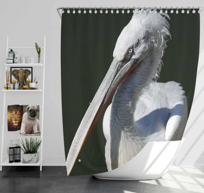 Pelican Coastal Presence Aquatic Beauty Shower Curtain