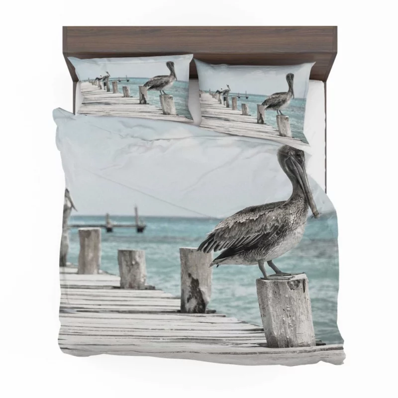 Pelicans on Pier Coastal Gathering Bedding Set 1