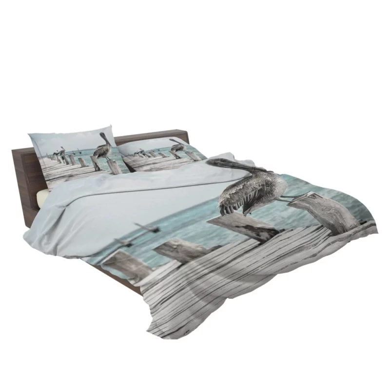 Pelicans on Pier Coastal Gathering Bedding Set 2