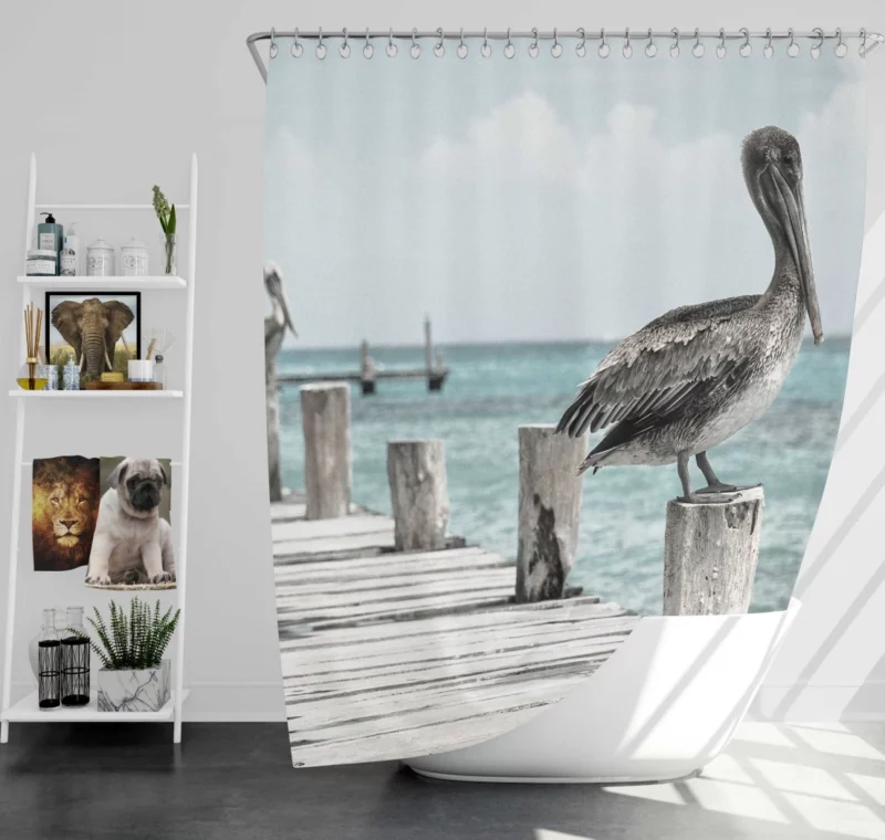 Pelicans on Pier Coastal Gathering Shower Curtain