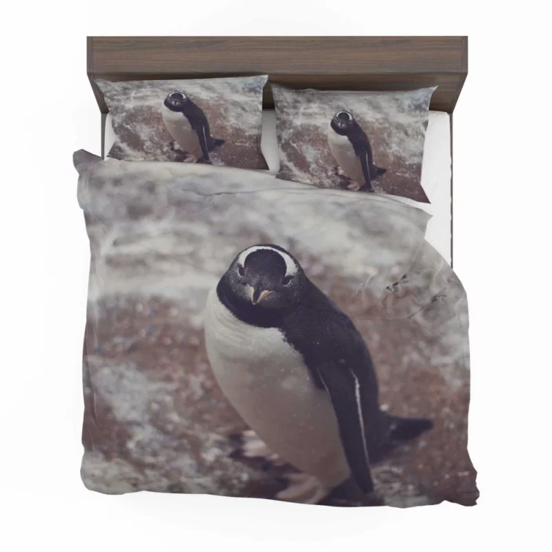 Penguin Charming Stance Icy Whimsy Bedding Set 1