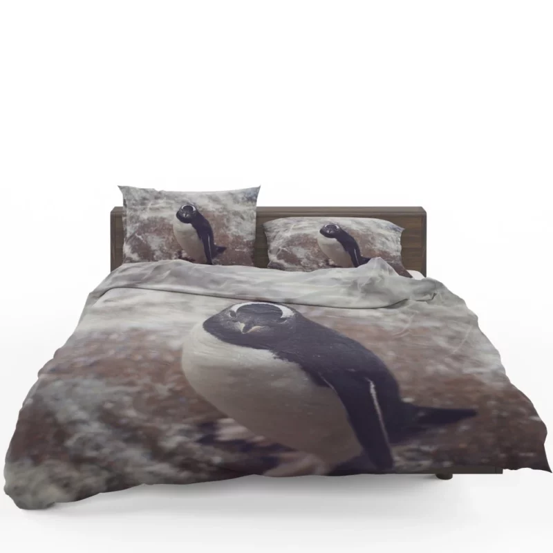 Penguin Charming Stance Icy Whimsy Bedding Set