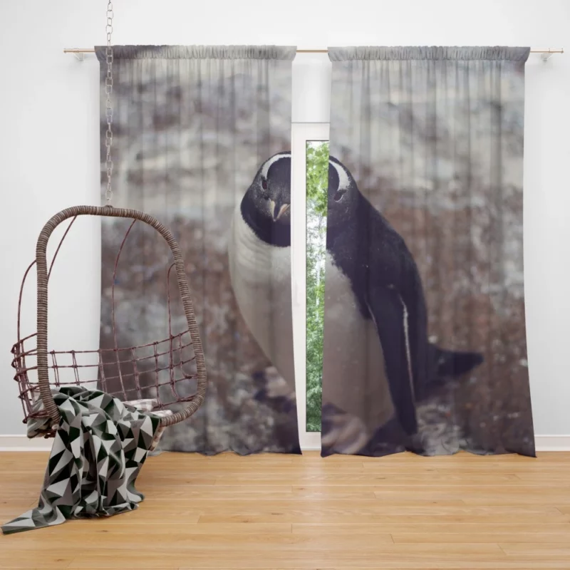 Penguin Charming Stance Icy Whimsy Curtain