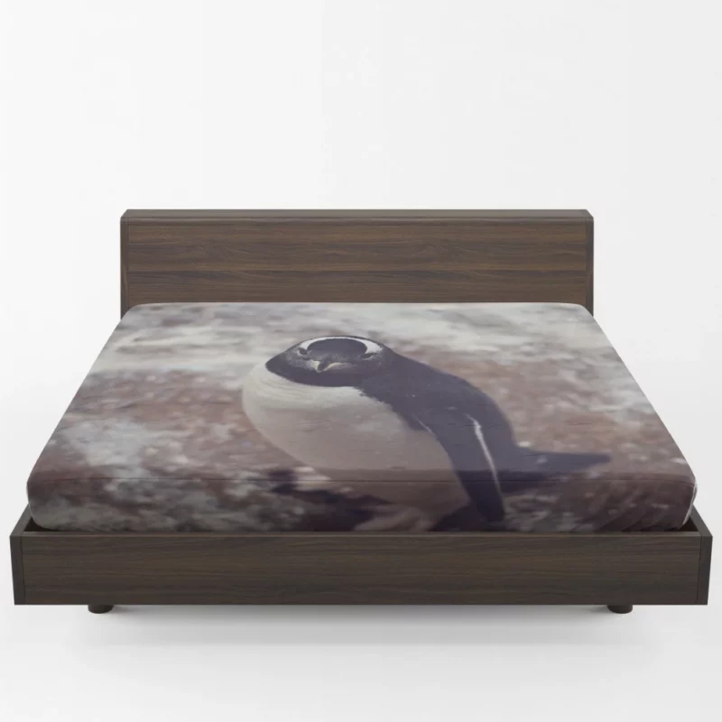 Penguin Charming Stance Icy Whimsy Fitted Sheet