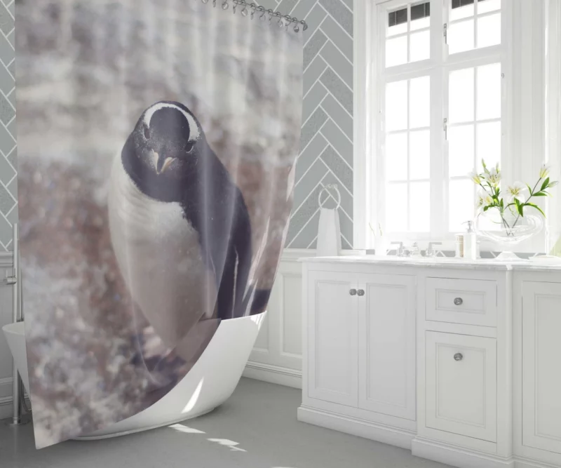 Penguin Charming Stance Icy Whimsy Shower Curtain 1