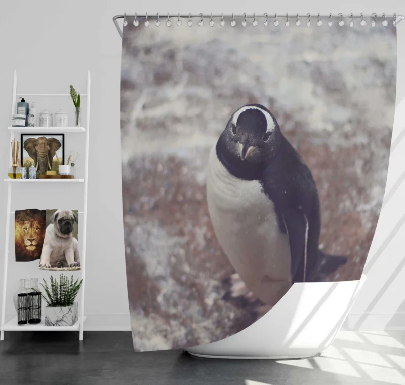 Penguin Charming Stance Icy Whimsy Shower Curtain