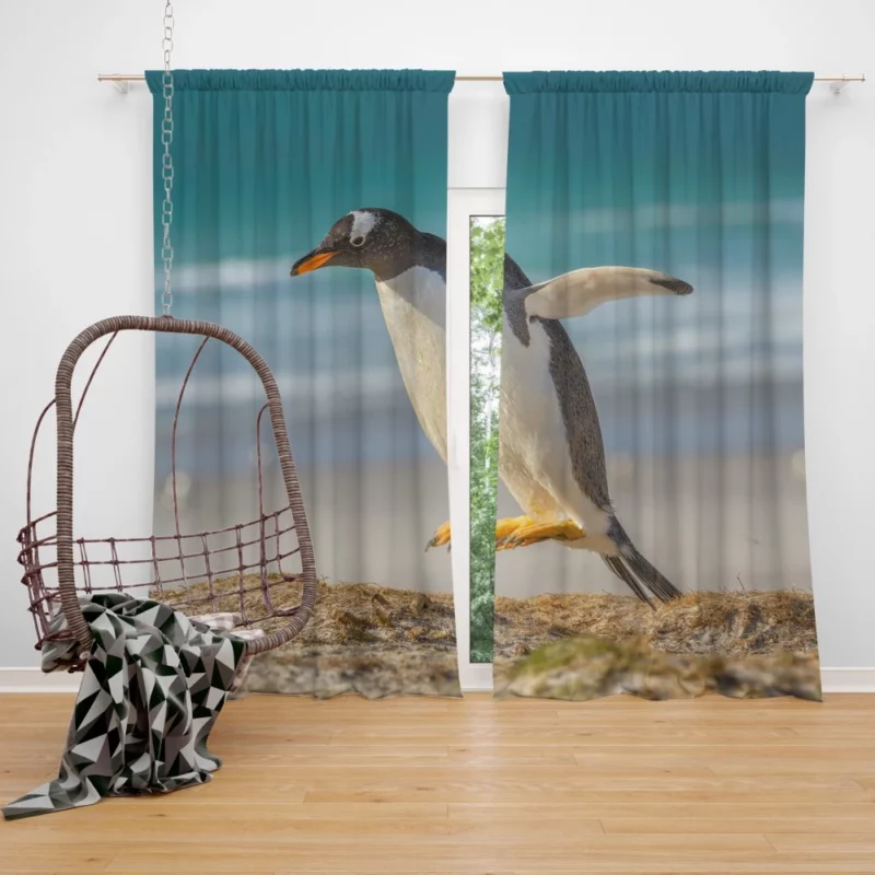 Penguin Depth of Field Stance Curtain