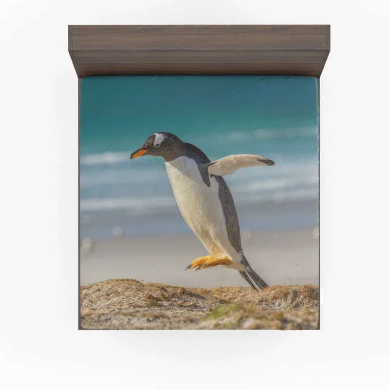 Penguin Depth of Field Stance Fitted Sheet 1