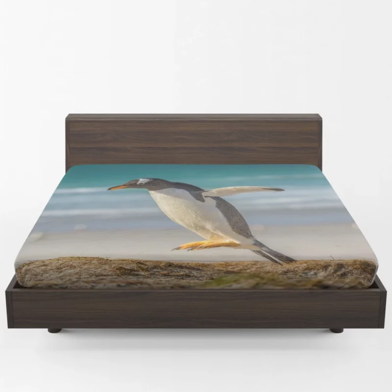 Penguin Depth of Field Stance Fitted Sheet