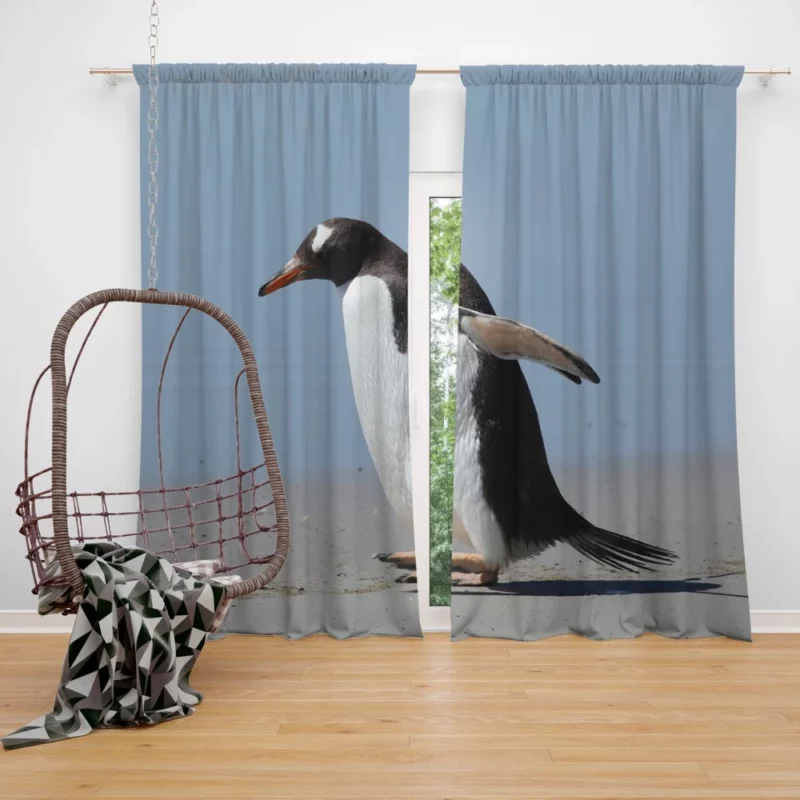 Penguin Grace Tuxedoed Wonder Curtain