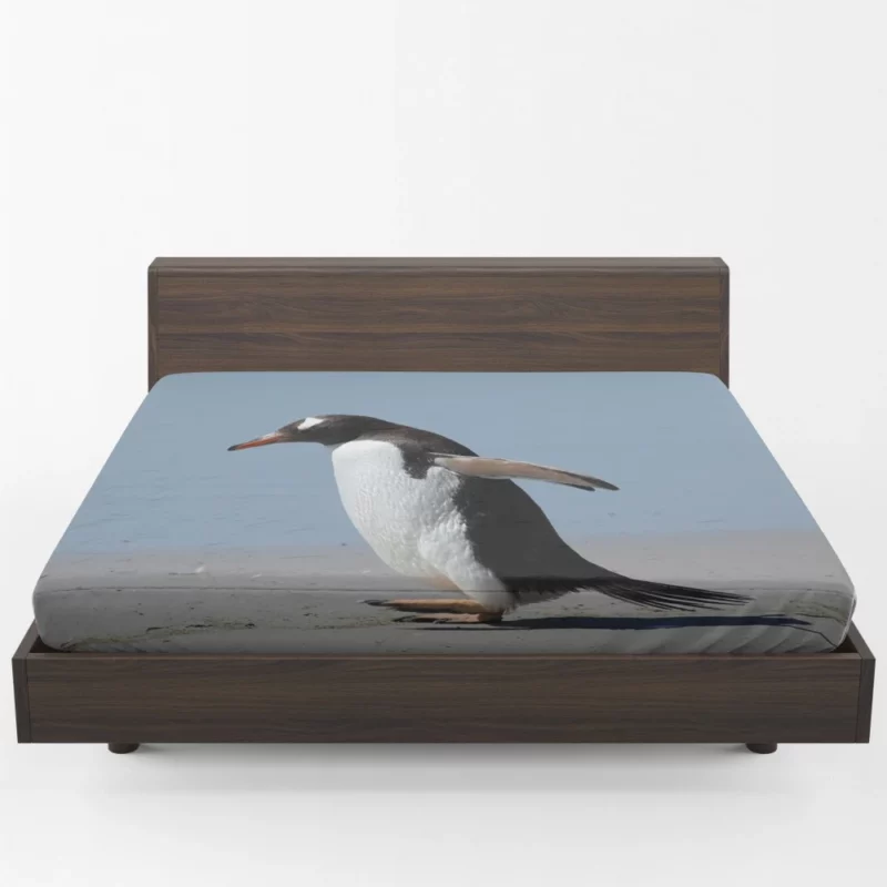 Penguin Grace Tuxedoed Wonder Fitted Sheet