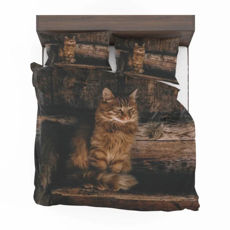 Pensive Stare Cat Gaze Bedding Set 1