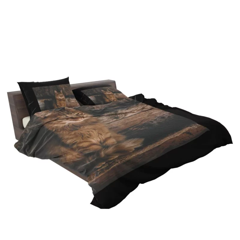 Pensive Stare Cat Gaze Bedding Set 2